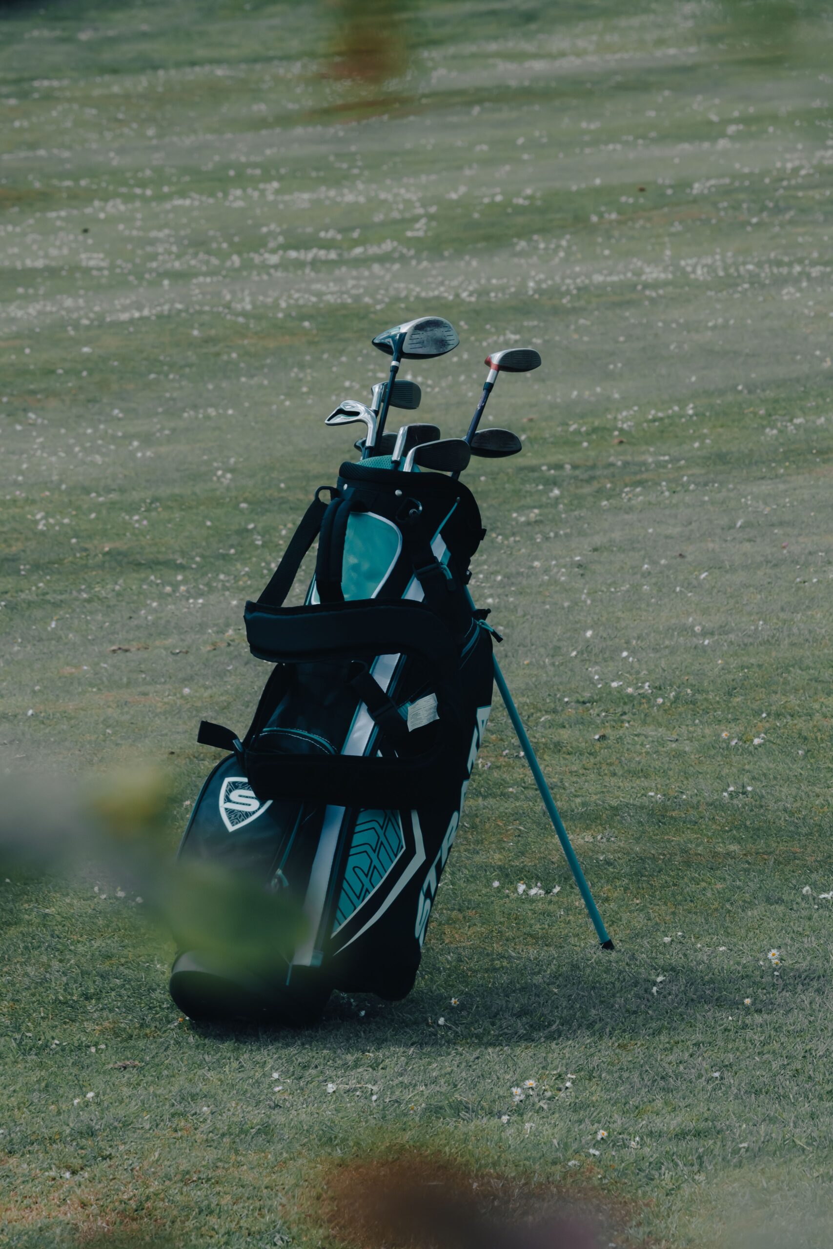 5 Best Golf Club Sets for Beginners in 2026 – Reviewed and Ranked